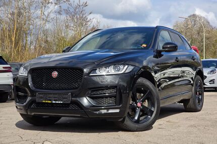 Jaguar F-Pace Gebrauchtwagen