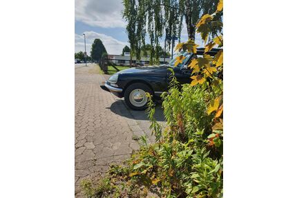 Citroen DS Gebrauchtwagen