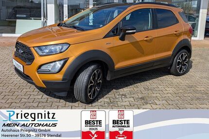 Ford EcoSport Gebrauchtwagen