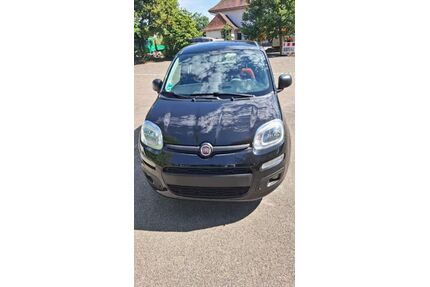 Fiat New Panda Gebrauchtwagen