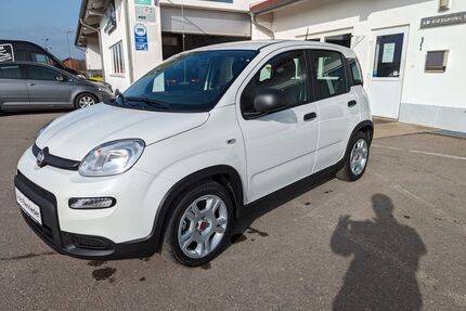 Fiat Panda Gebrauchtwagen