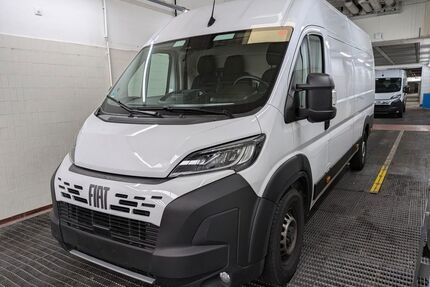Fiat Ducato Gebrauchtwagen