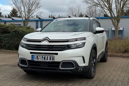 Citroen C5 Aircross Gebrauchtwagen