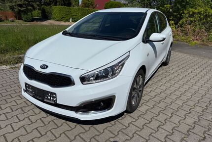 Kia ceed / Ceed Gebrauchtwagen
