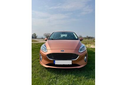 Ford Fiesta Gebrauchtwagen