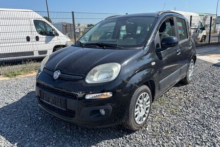 Fiat Panda Gebrauchtwagen