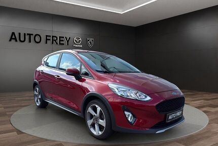 Ford Fiesta Gebrauchtwagen