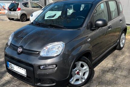Fiat Panda Gebrauchtwagen