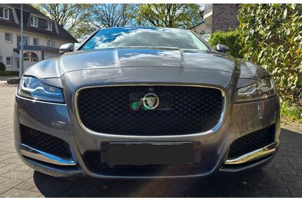 Jaguar XF Gebrauchtwagen
