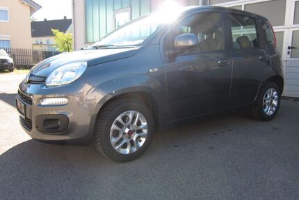 Fiat Panda Gebrauchtwagen