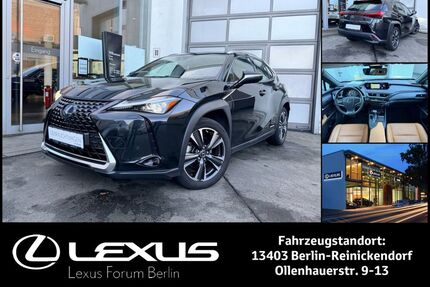 Lexus UX Gebrauchtwagen