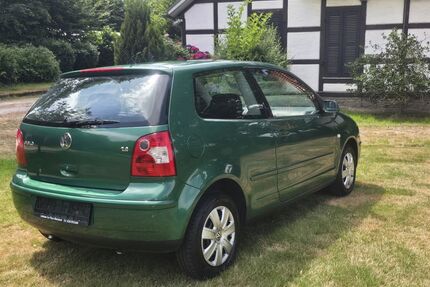 VW Polo Gebrauchtwagen