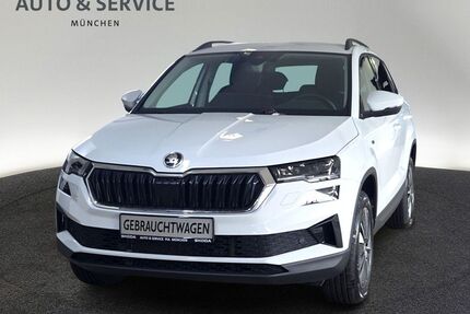 Skoda Karoq Gebrauchtwagen