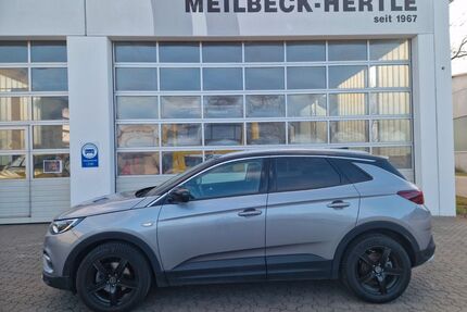 Opel Grandland (X) Gebrauchtwagen