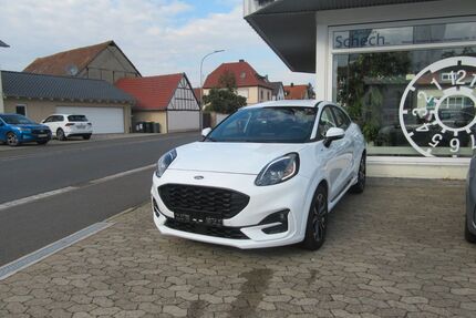 Ford Puma Gebrauchtwagen