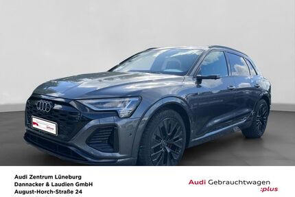 Audi Q8 e-tron Gebrauchtwagen