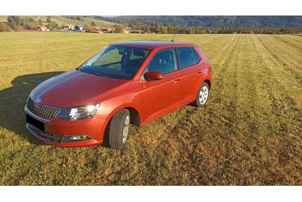 Skoda Fabia Gebrauchtwagen