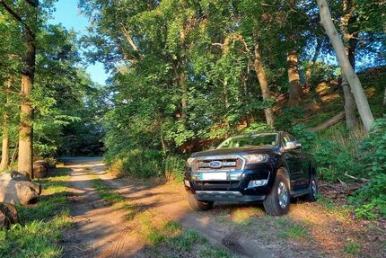 Ford Ranger Gebrauchtwagen
