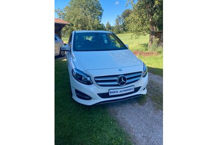 Mercedes-Benz B 220 Gebrauchtwagen