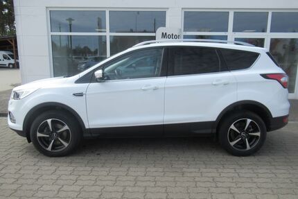 Ford Kuga Gebrauchtwagen