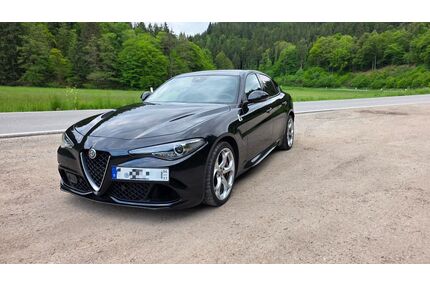 Alfa Romeo Giulia Gebrauchtwagen