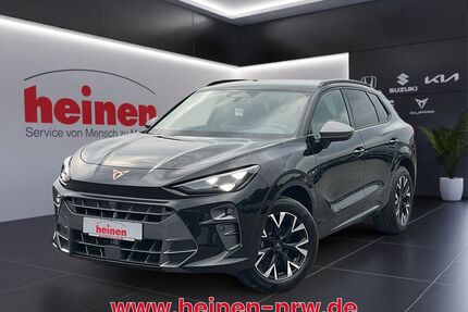 Cupra Terramar Gebrauchtwagen