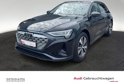 Audi Q8 e-tron Gebrauchtwagen