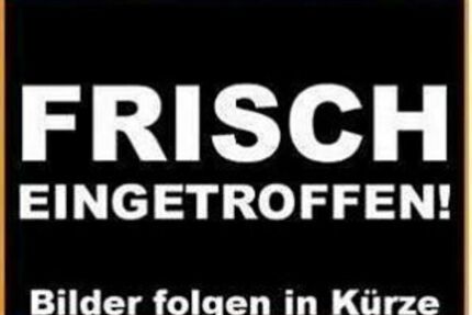 Mazda 2 Gebrauchtwagen