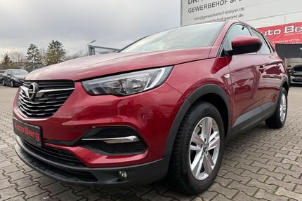 Opel Grandland (X) Gebrauchtwagen