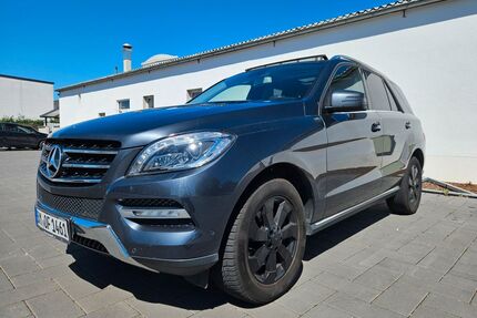 Mercedes-Benz ML 250 Gebrauchtwagen