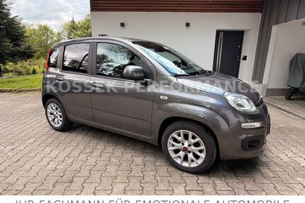Fiat Panda Gebrauchtwagen