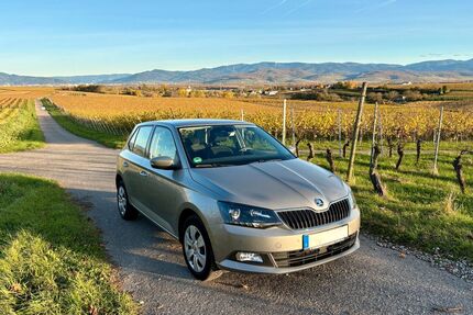 Skoda Fabia Gebrauchtwagen