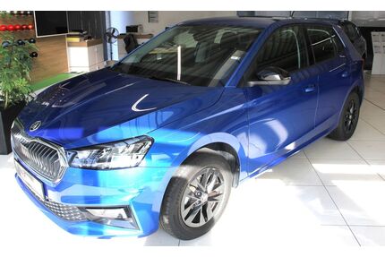 Skoda Fabia Gebrauchtwagen