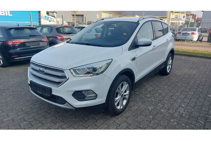 Ford Kuga Gebrauchtwagen