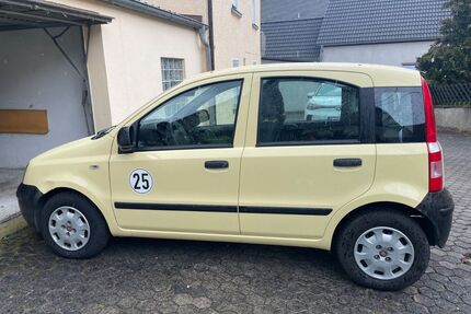 Fiat Panda Gebrauchtwagen