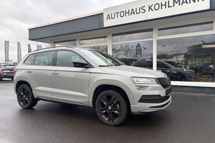 Skoda Karoq Gebrauchtwagen