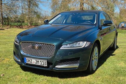 Jaguar XF Gebrauchtwagen