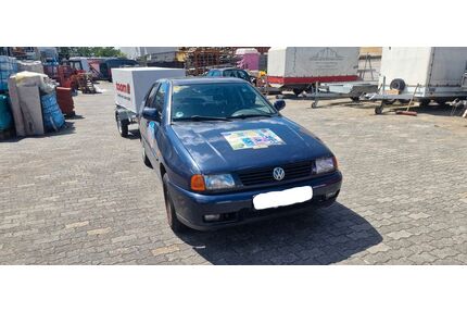 VW Polo Gebrauchtwagen