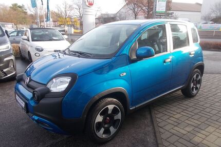 Fiat Panda Gebrauchtwagen
