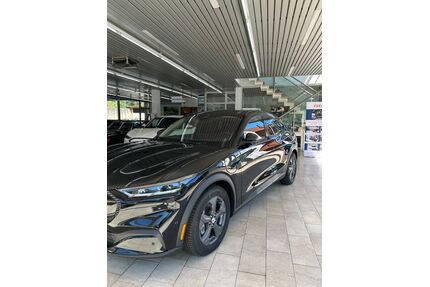 Ford Mustang Mach-E Gebrauchtwagen