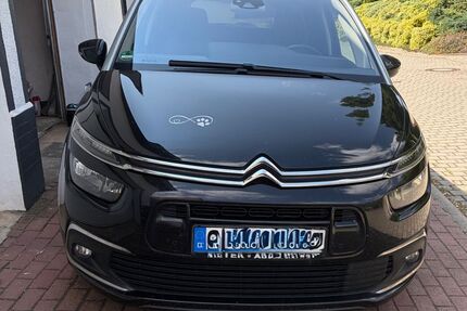 Citroen C4 SpaceTourer Gebrauchtwagen