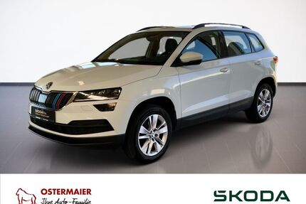 Skoda Karoq Gebrauchtwagen
