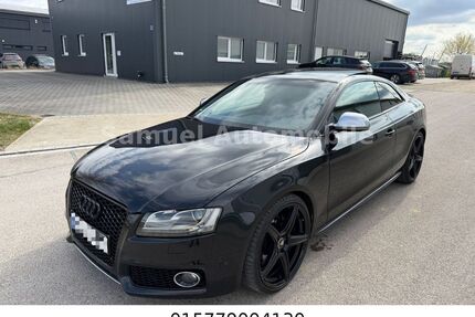 Audi S5 Gebrauchtwagen