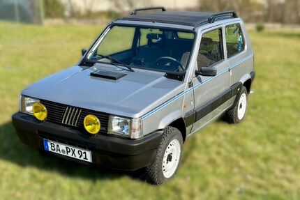 Fiat Panda Gebrauchtwagen