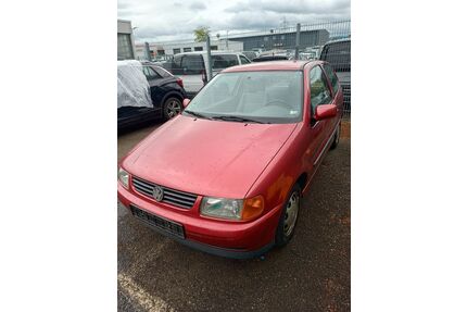 VW Polo Gebrauchtwagen