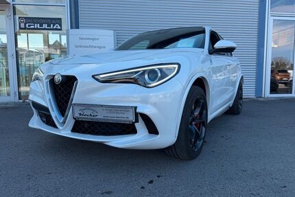 Renault Stelvio 