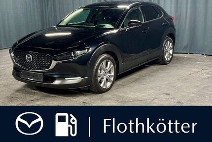 Mazda CX-30 Gebrauchtwagen