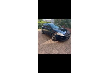 Fiat Punto Gebrauchtwagen