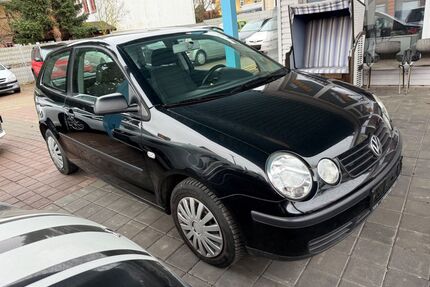 VW Polo Gebrauchtwagen