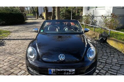 VW Beetle Gebrauchtwagen